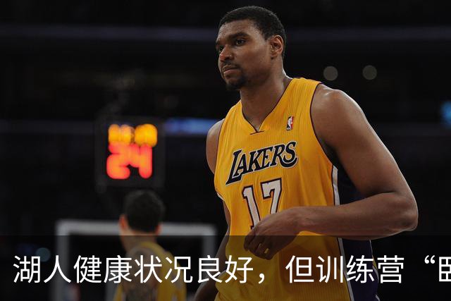 湖人健康状况良好，但训练营“卧底”还在继续